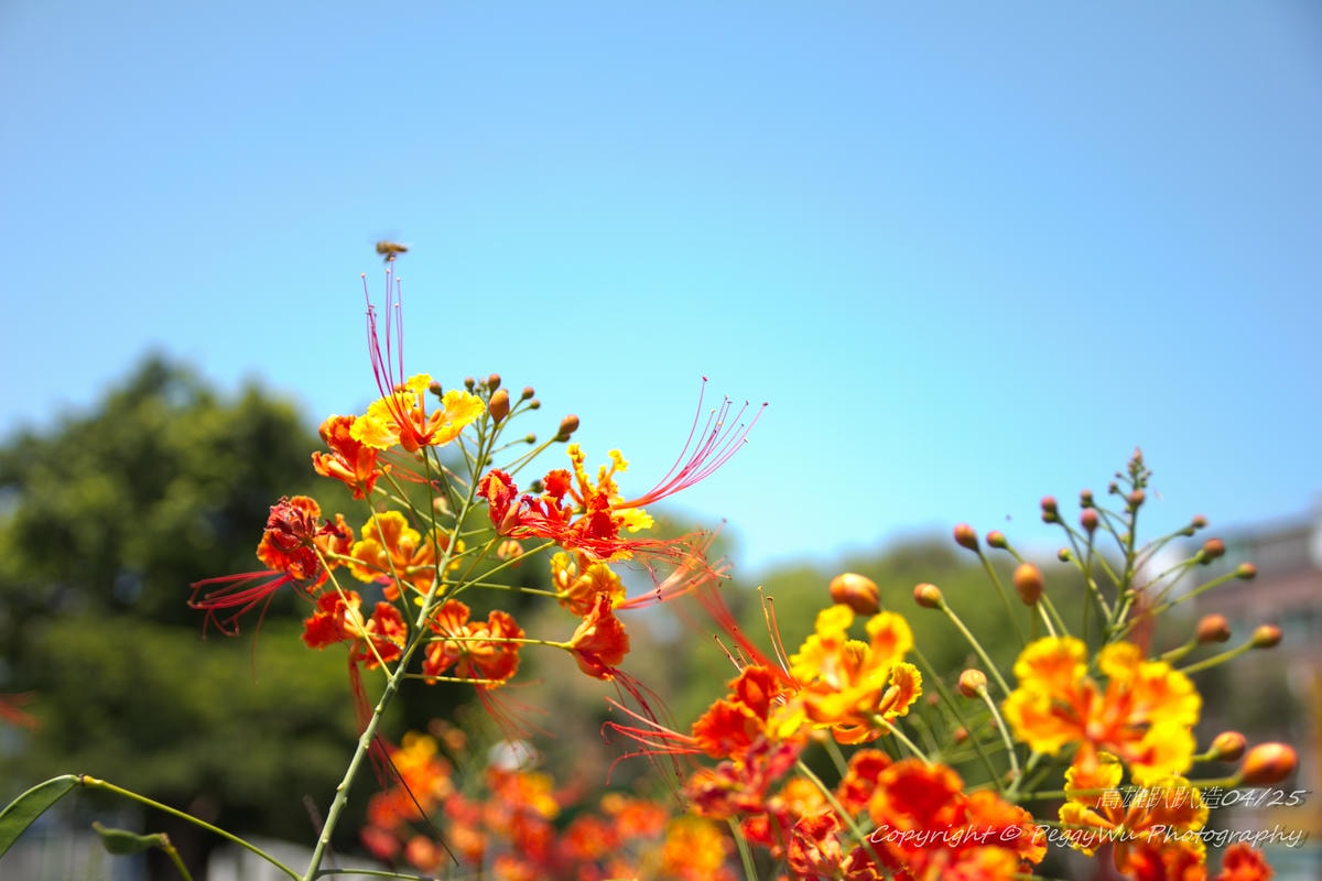 20251013-0z3fu 20251013-0z3fu