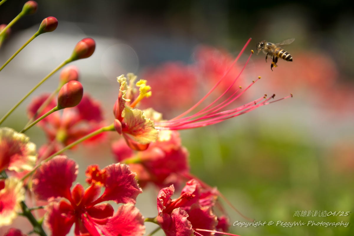 20251013-26dbk 20251013-26dbk