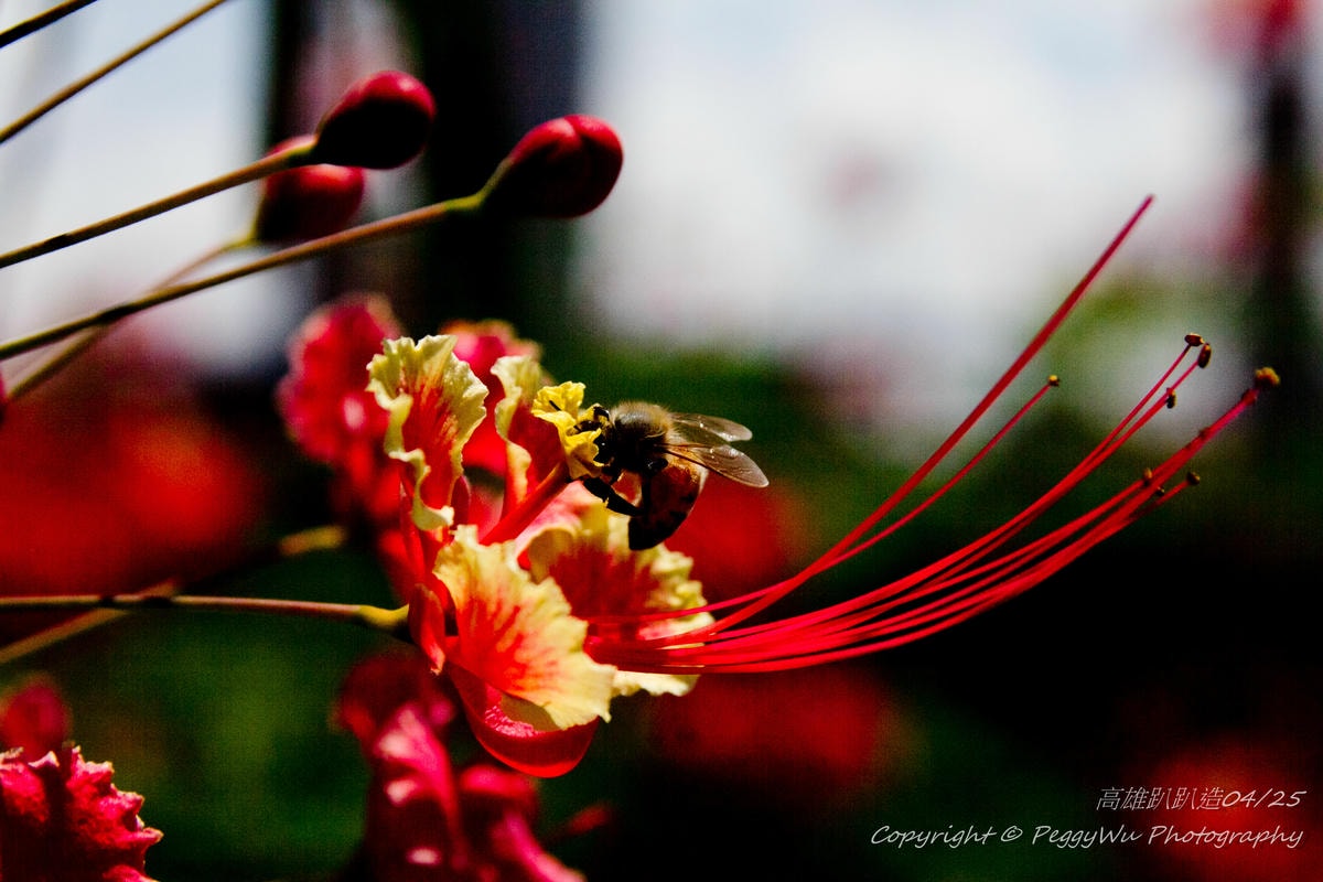 20251013-46bw1 20251013-46bw1