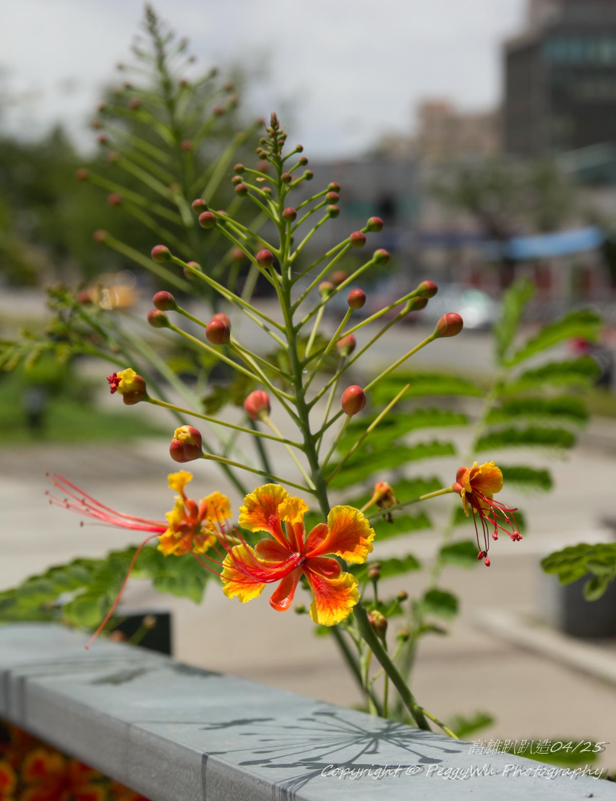 20251013-5abfs 20251013-5abfs