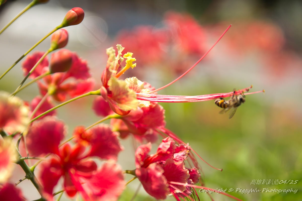 20251013-a3kdl 20251013-a3kdl