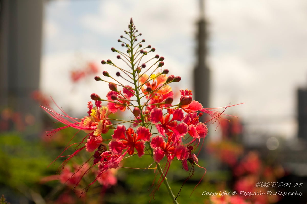 20251013-d29yn 20251013-d29yn