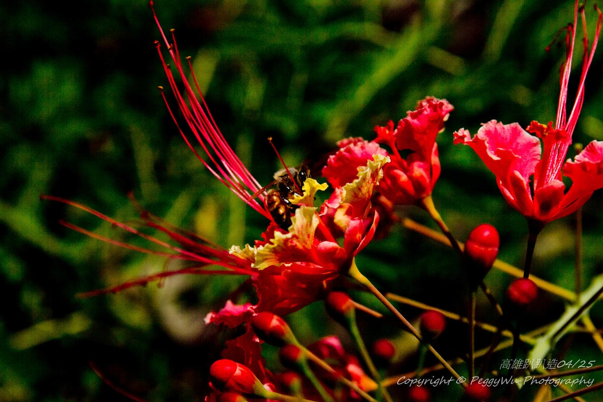 20251013-pypm9 20251013-pypm9