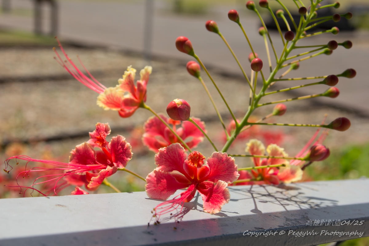 20251013-q6kgq 20251013-q6kgq