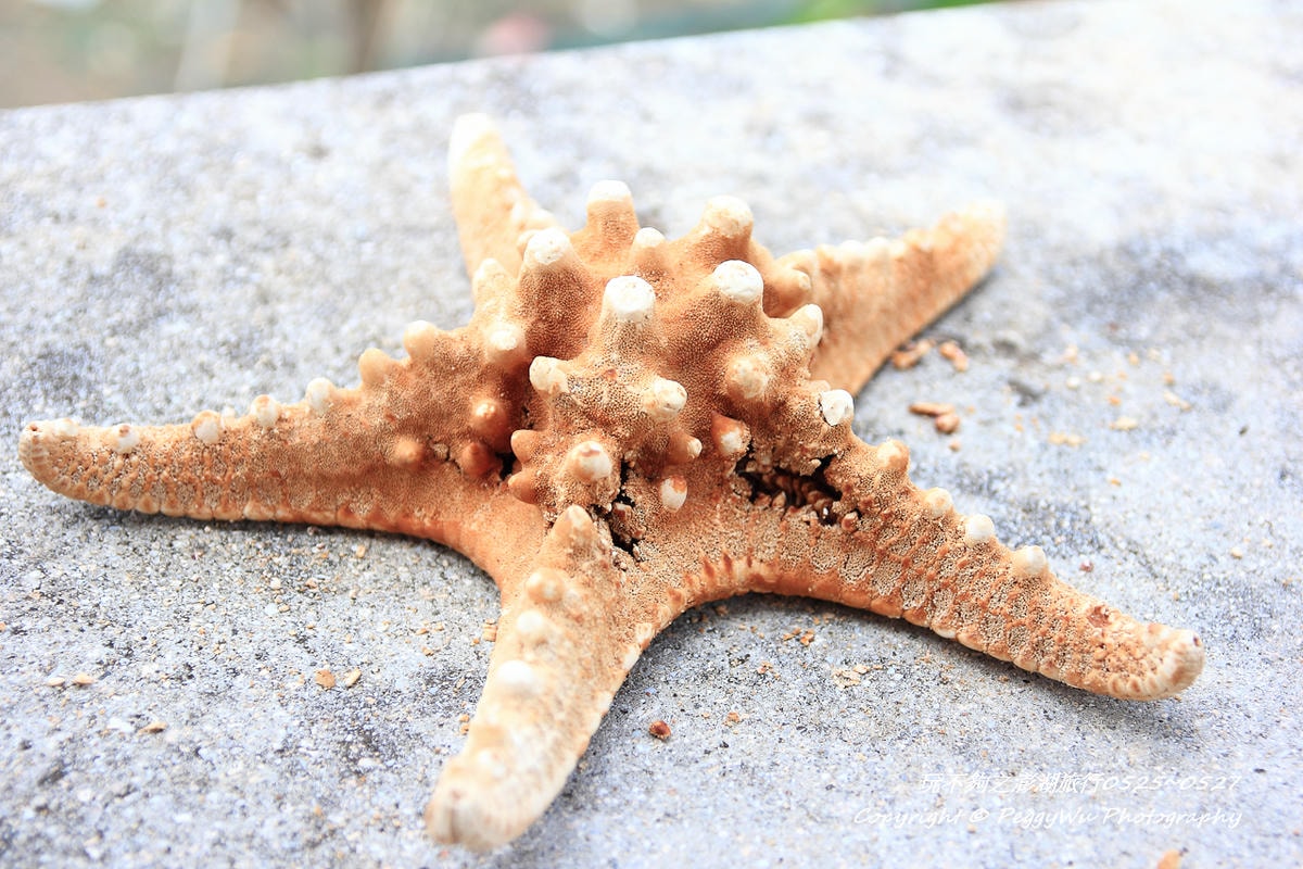 20251013-x7mdi 20251013-x7mdi