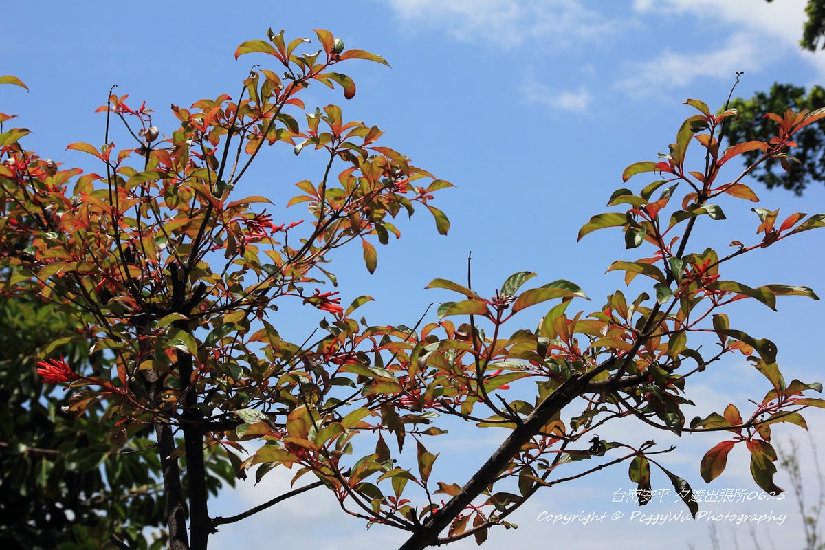 20251013-b2p3g 20251013-b2p3g