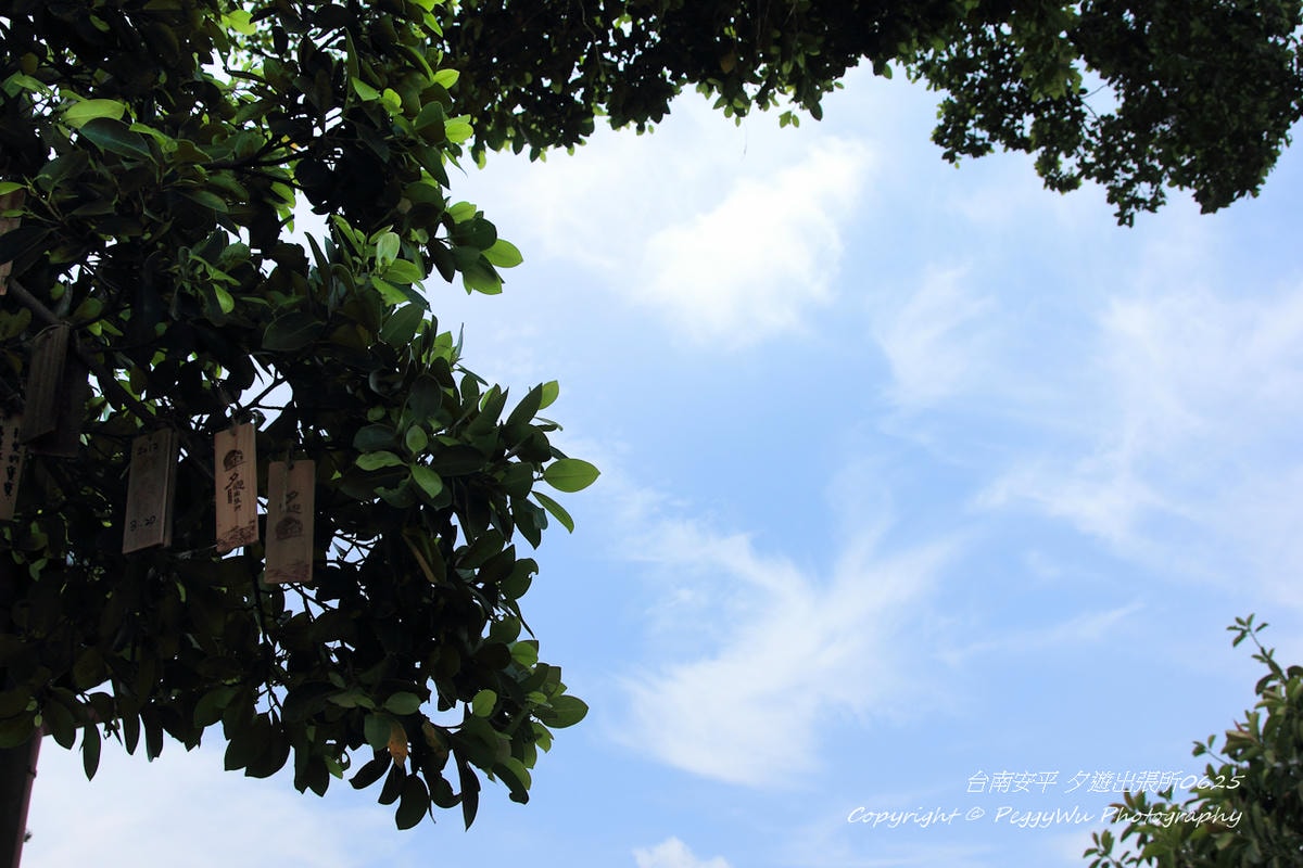 20251013-r7ynw 20251013-r7ynw