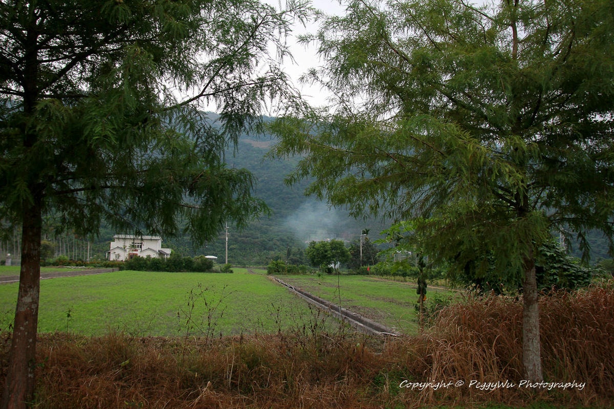 20251013-dvpdp 20251013-dvpdp