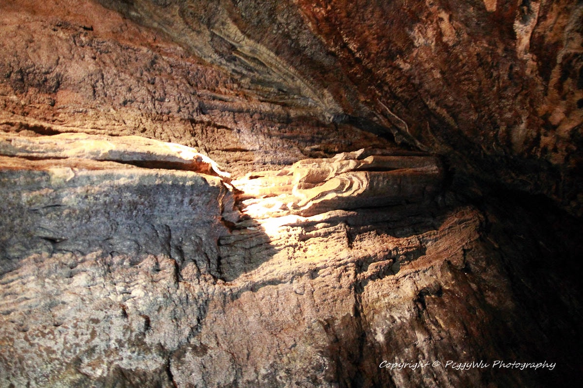 20251013-w2nvh 20251013-w2nvh