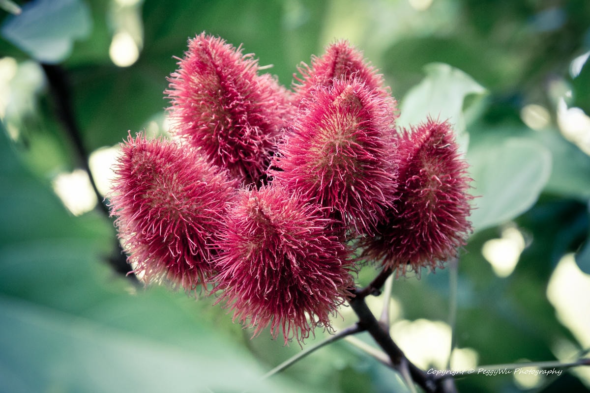 20251013-17joj 20251013-17joj