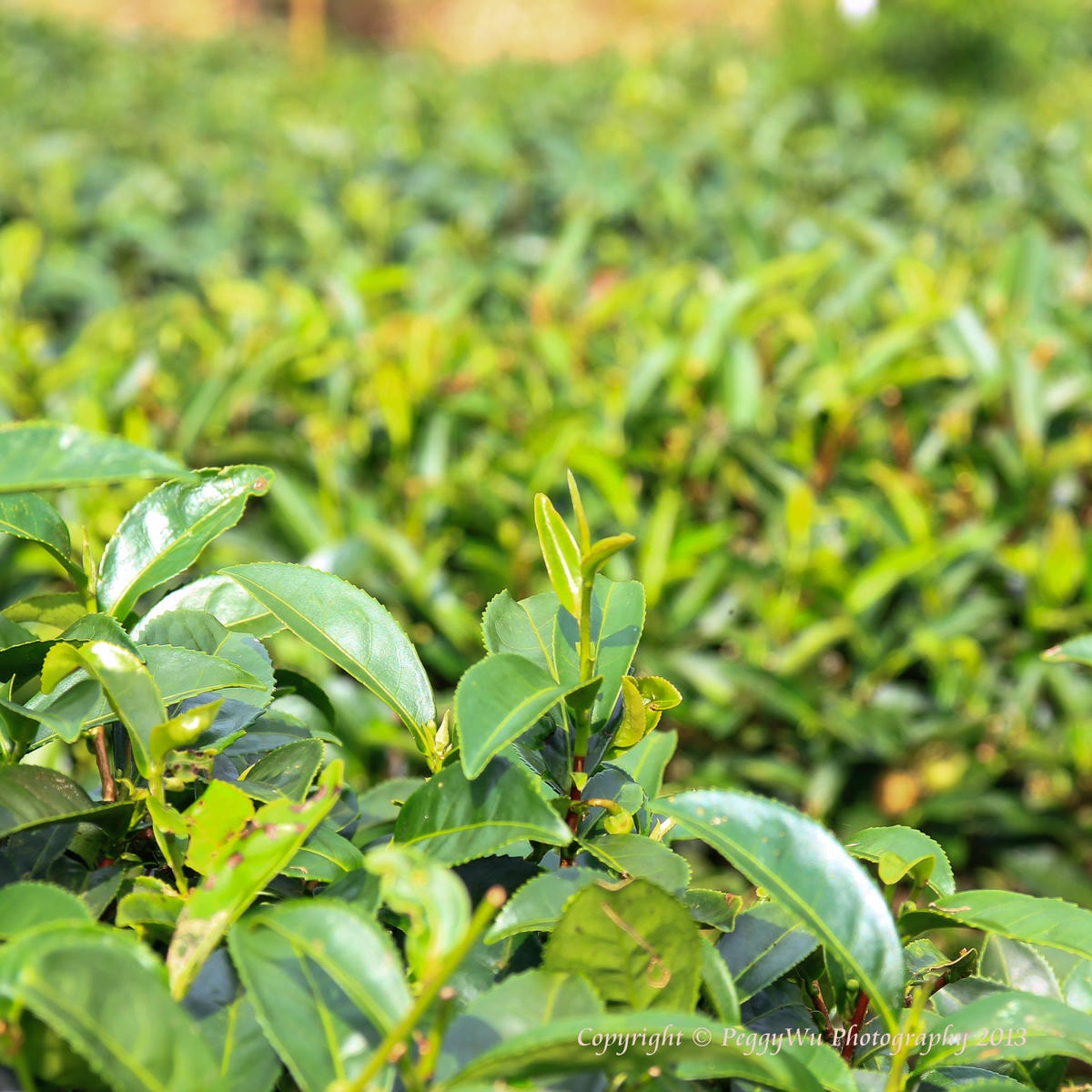 20251013-csasw 20251013-csasw