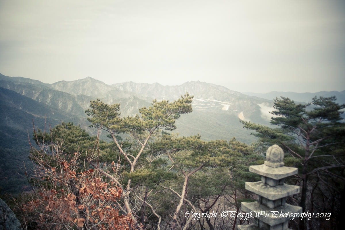 20251013-25qqy 20251013-25qqy