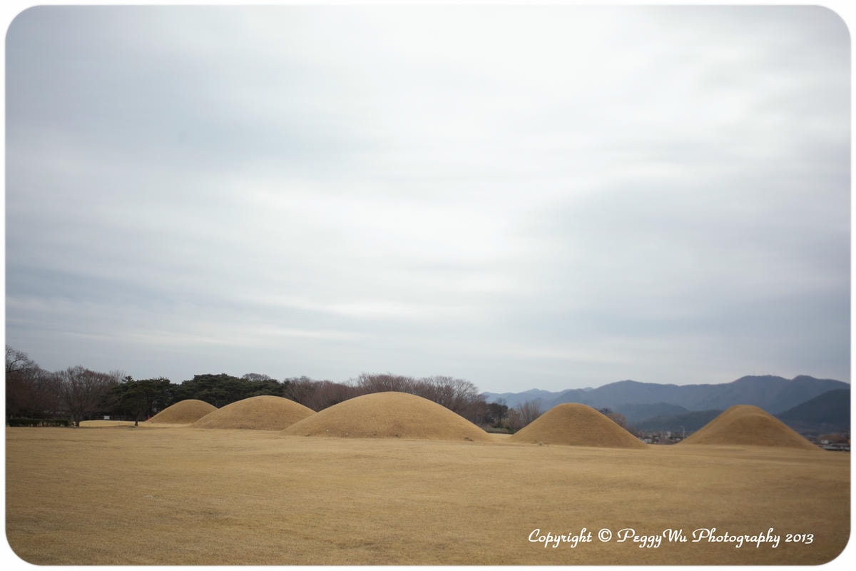 20251013-28869 20251013-28869