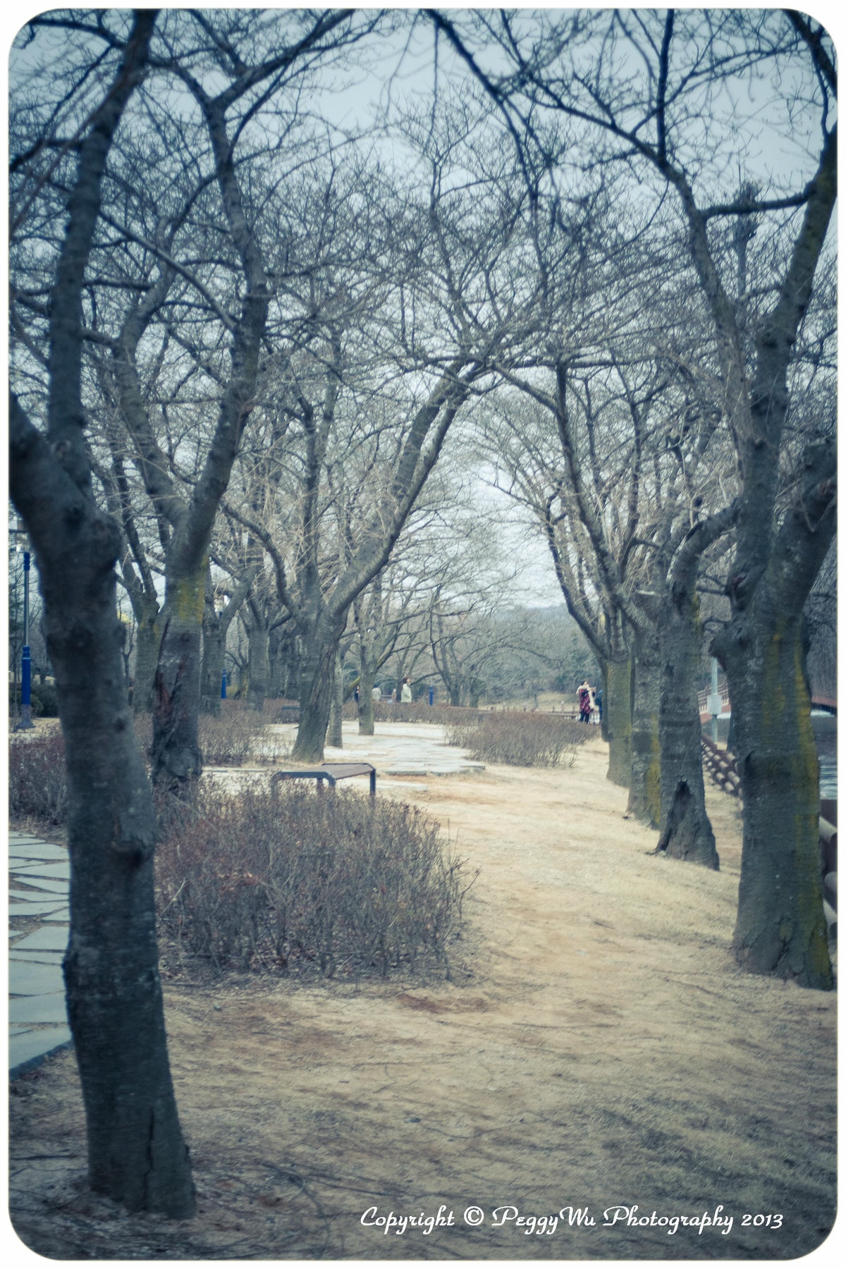 20251013-kax4k 20251013-kax4k