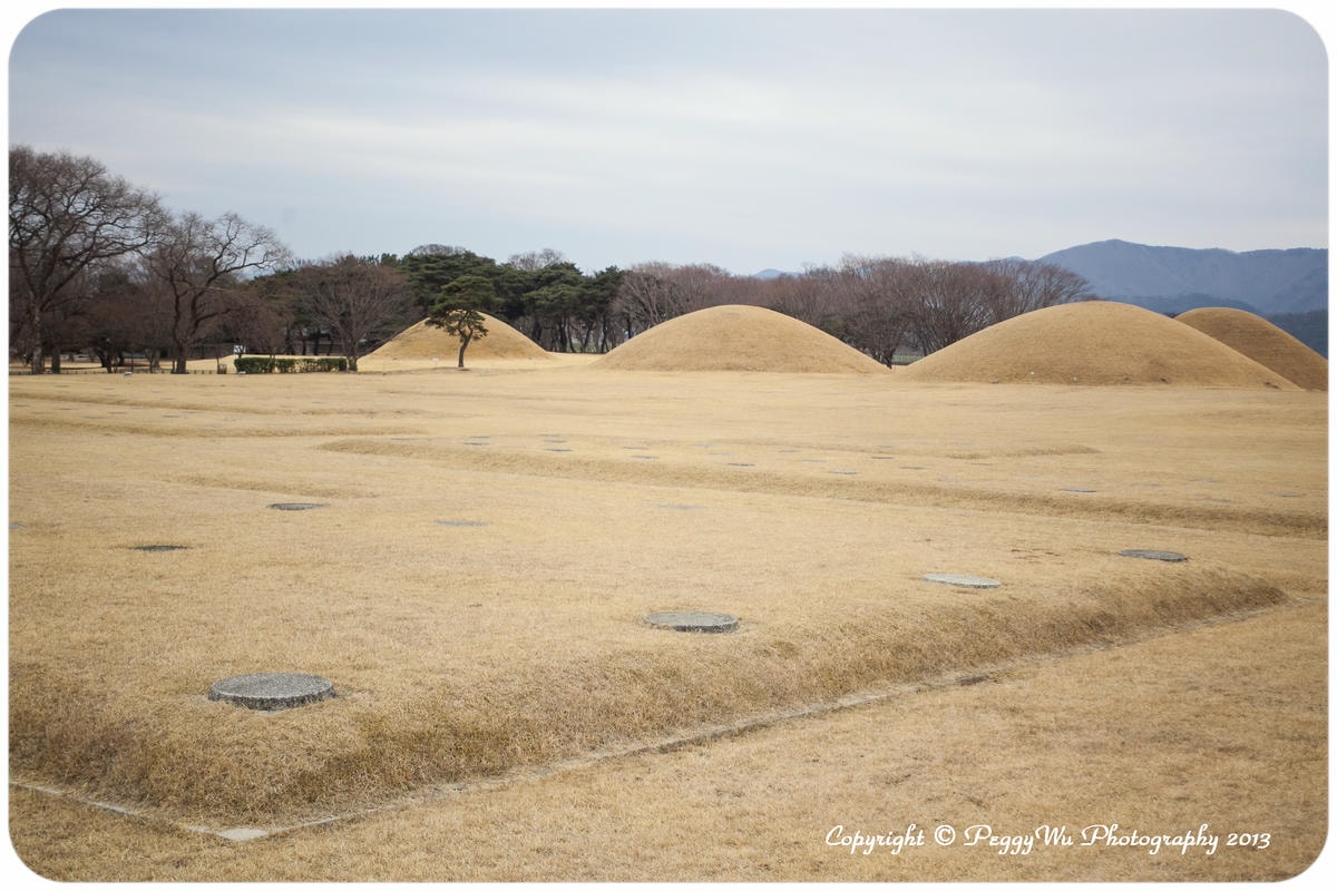 20251013-lh6n9 20251013-lh6n9