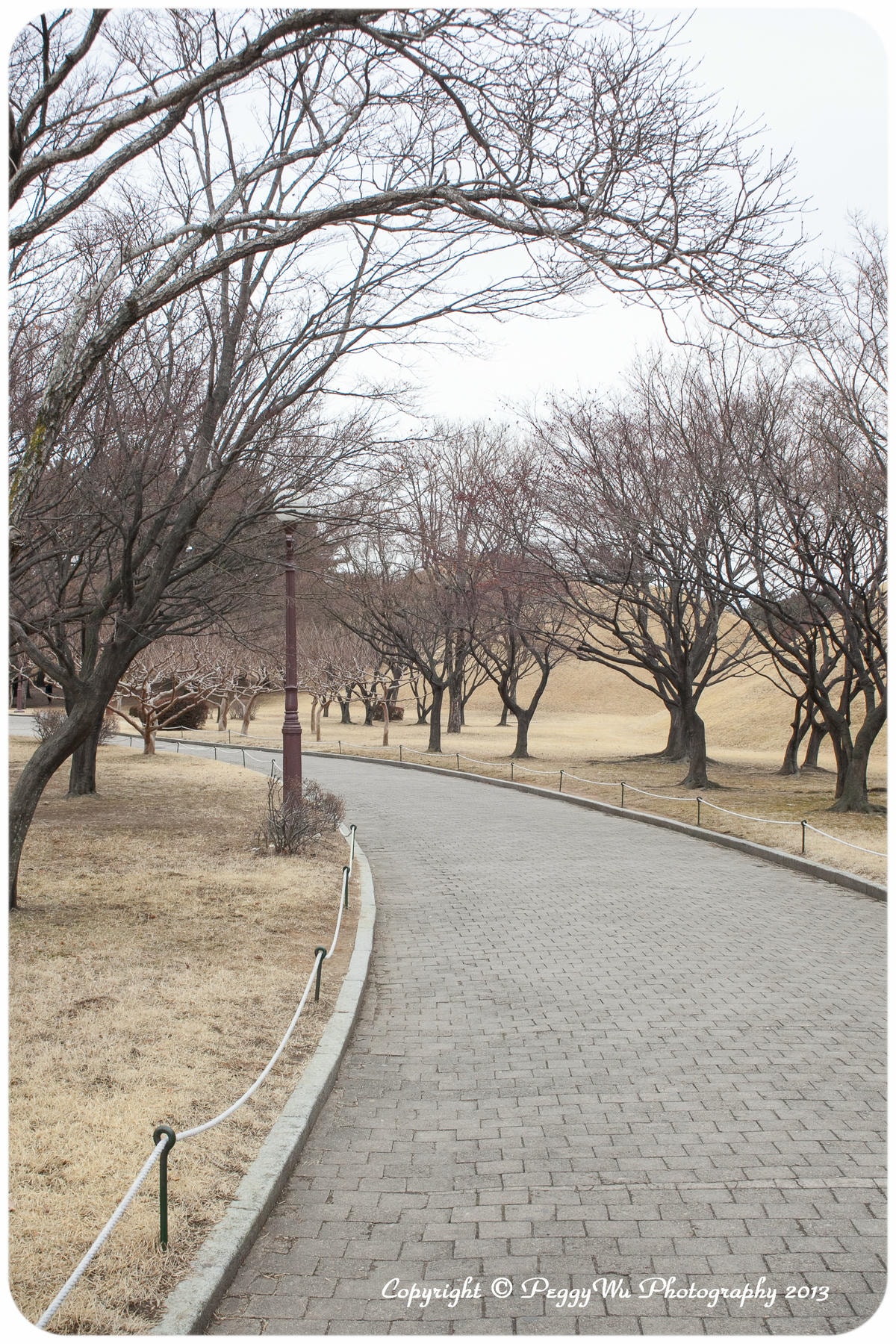 20251013-nqphu 20251013-nqphu