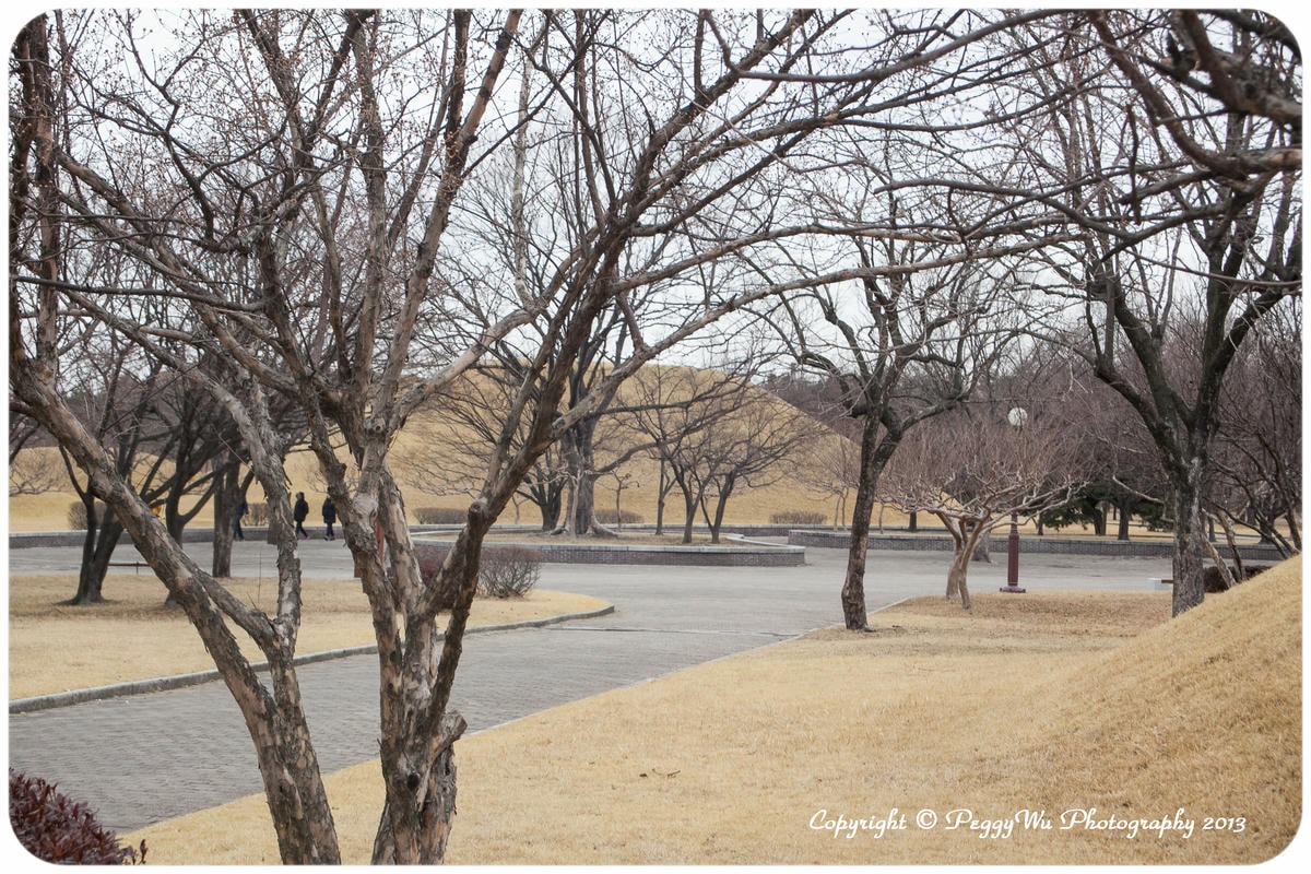 20251013-tngmk 20251013-tngmk