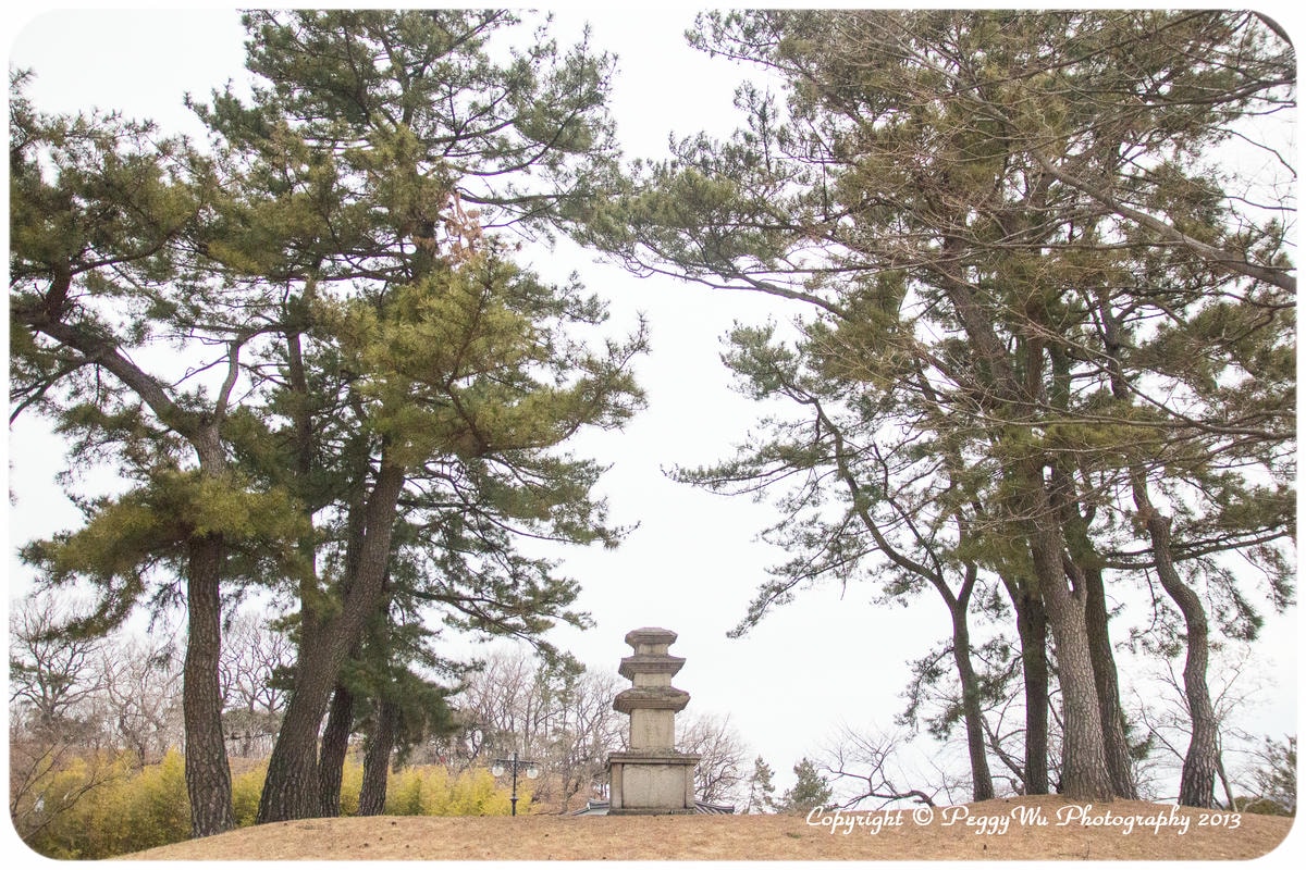 20251013-wkcx1 20251013-wkcx1