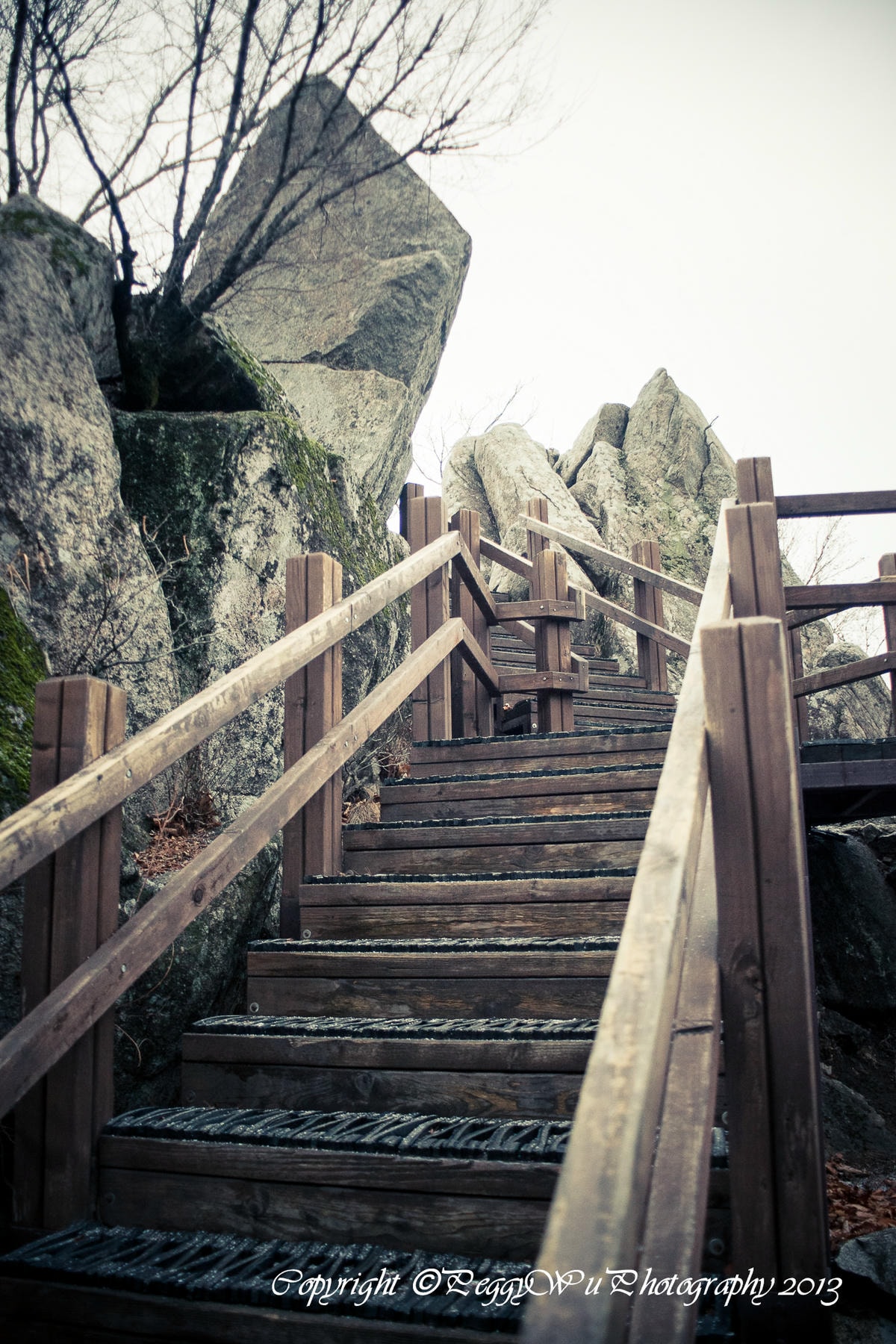 20251013-z7cwh 20251013-z7cwh