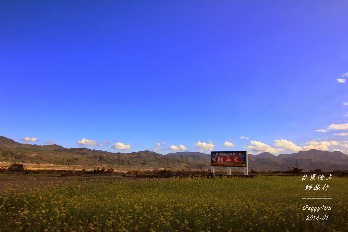 20251013-0694x 20251013-0694x