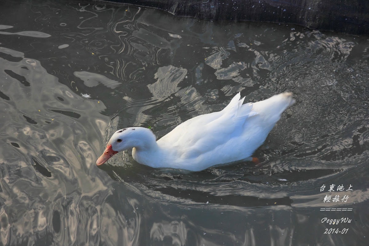 20251013-23tr8 20251013-23tr8