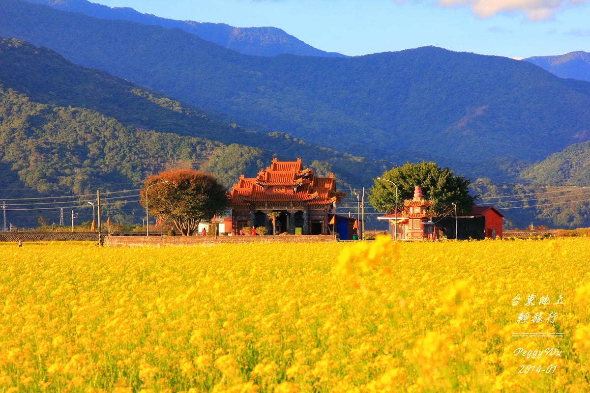 20251013-313vs 20251013-313vs