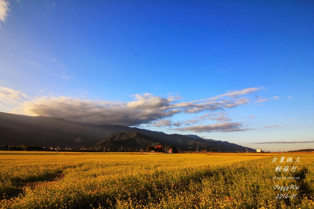 20251013-57201 20251013-57201