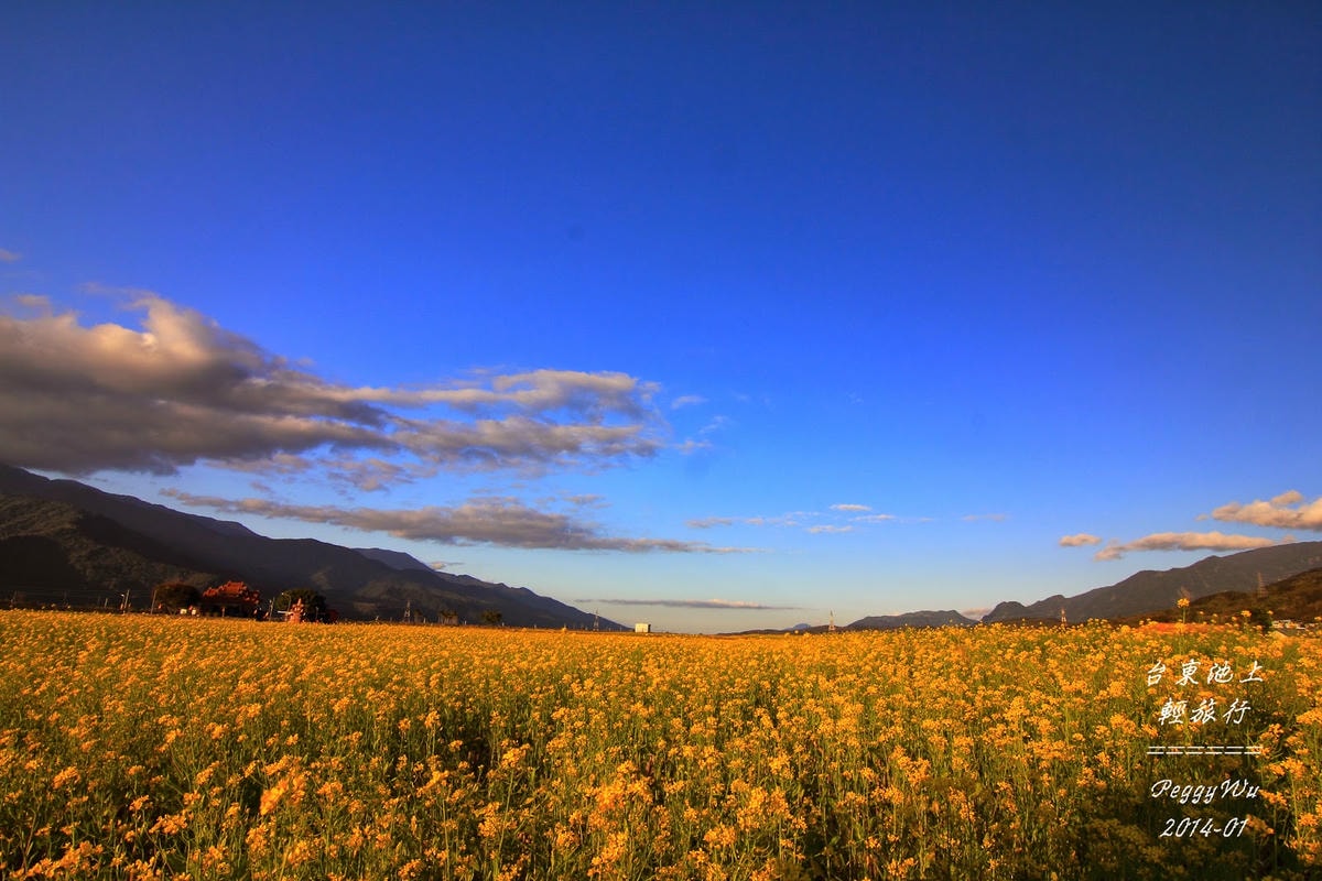 20251013-6fqub 20251013-6fqub