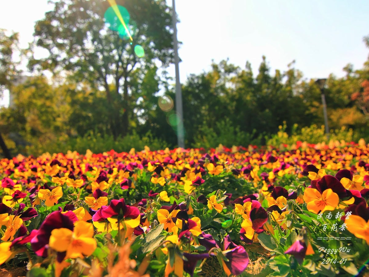 20251013-a11h2 20251013-a11h2