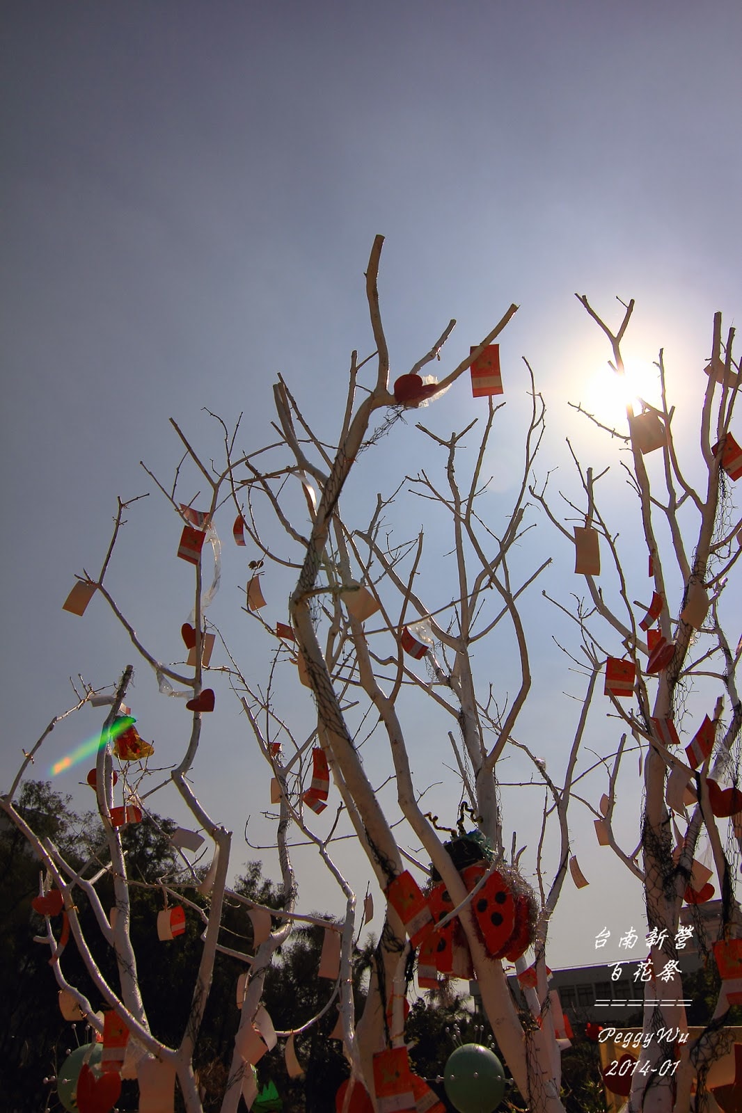 20251013-ajxr9 20251013-ajxr9