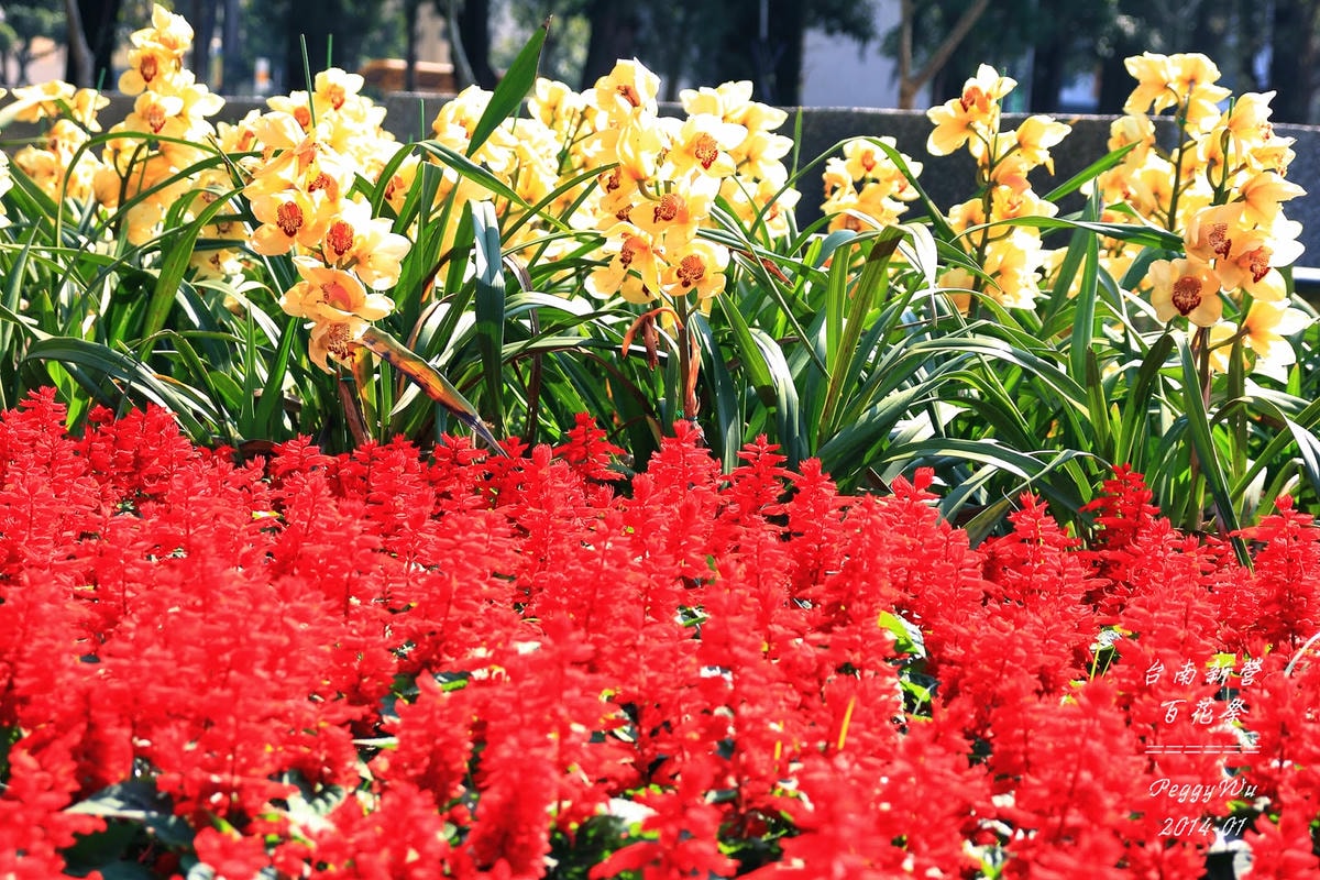 20251013-bg0nn 20251013-bg0nn