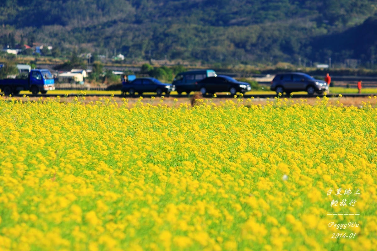 20251013-f0uxt 20251013-f0uxt