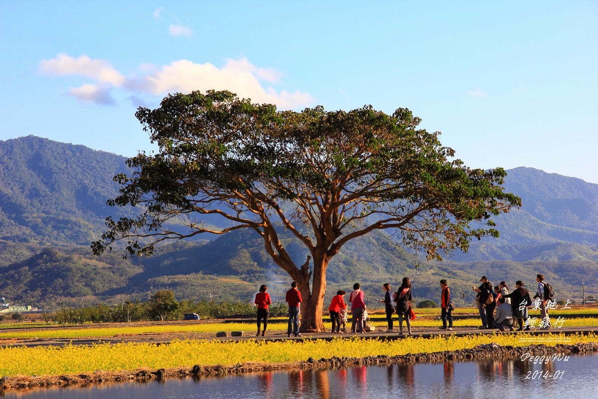 20251013-h4zjz 20251013-h4zjz