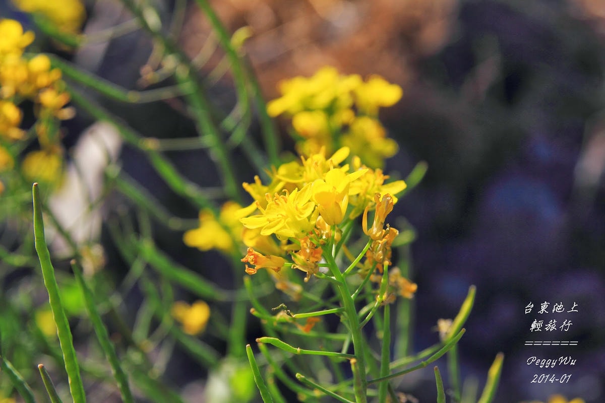 20251013-hk32t 20251013-hk32t