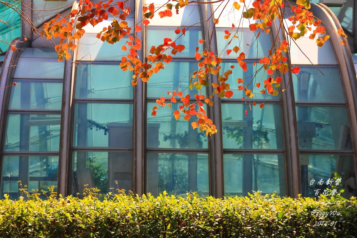 20251013-ngdgd 20251013-ngdgd