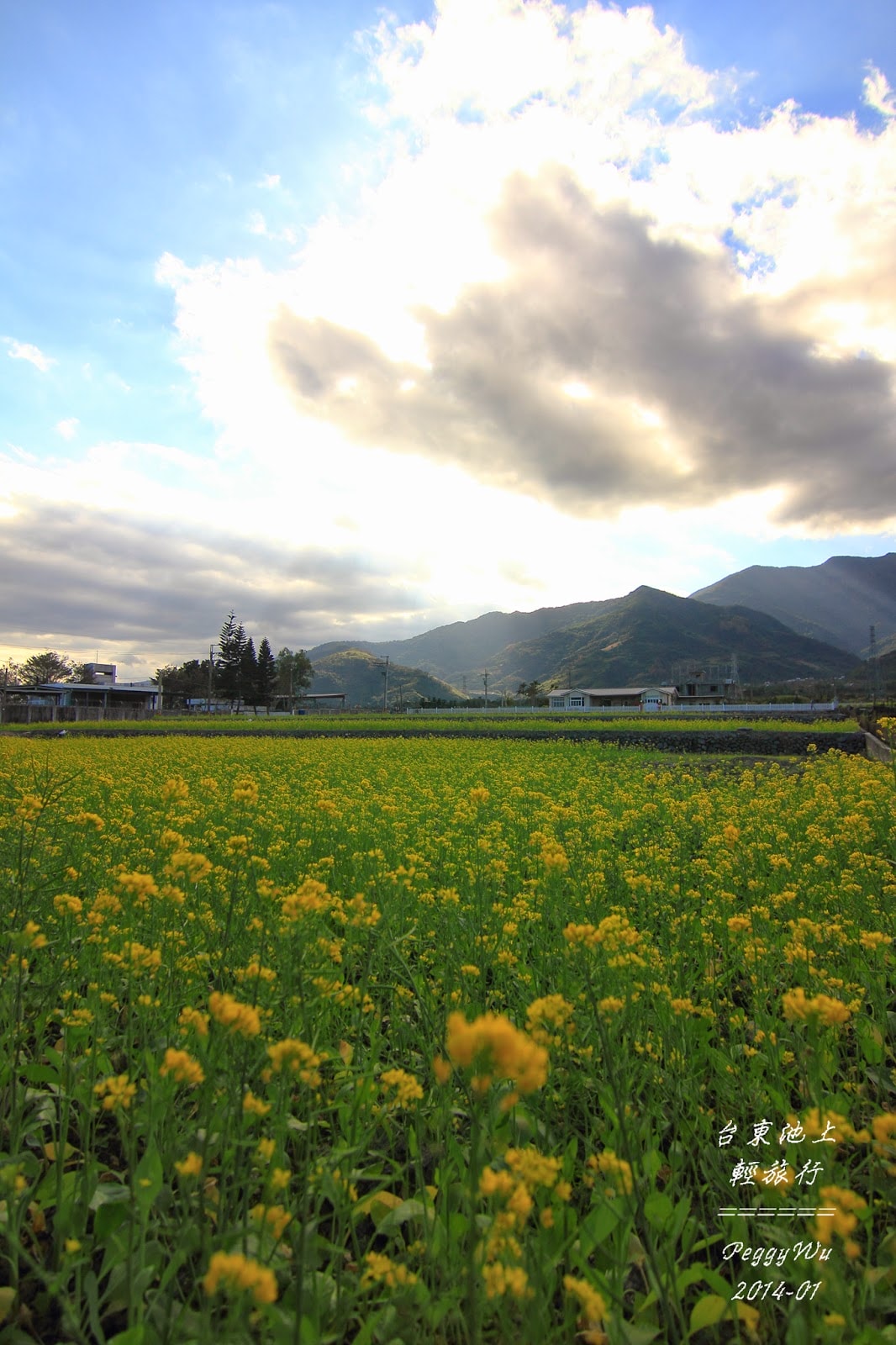 20251013-qppy9 20251013-qppy9