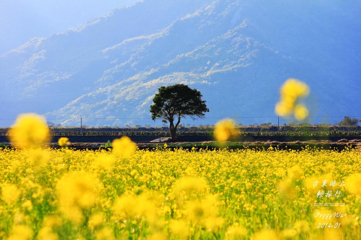 20251013-sx22w 20251013-sx22w