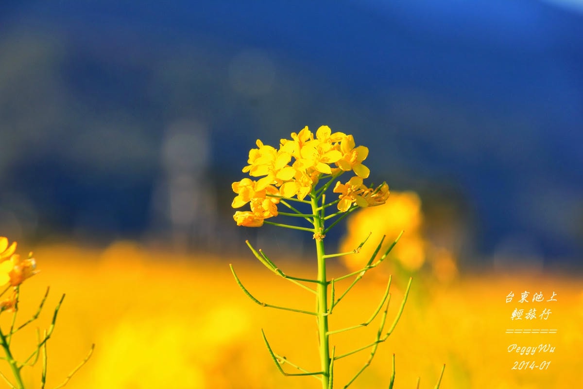 20251013-v4sp9 20251013-v4sp9