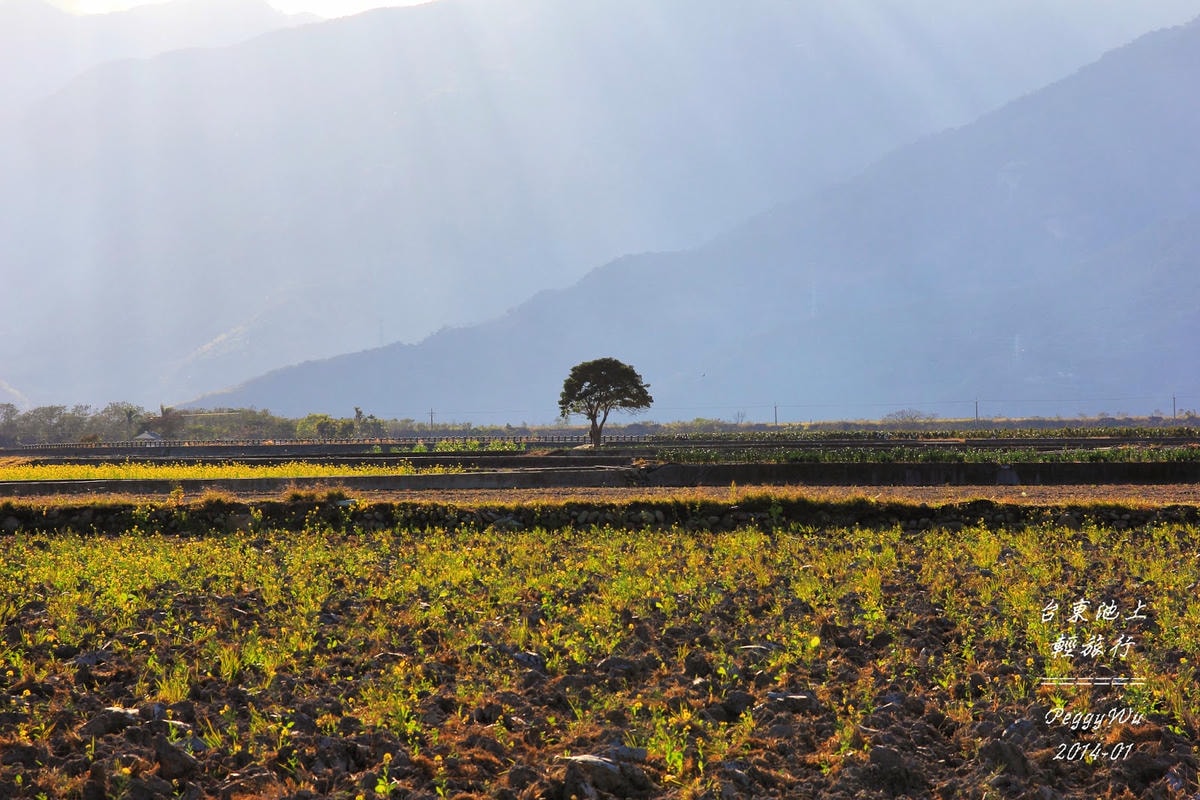 20251013-ylciw 20251013-ylciw