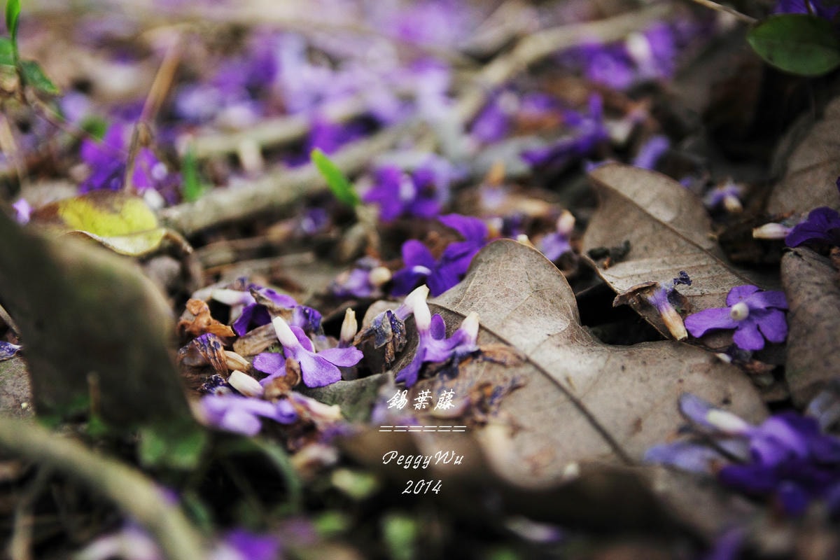 20251013-2441x 20251013-2441x