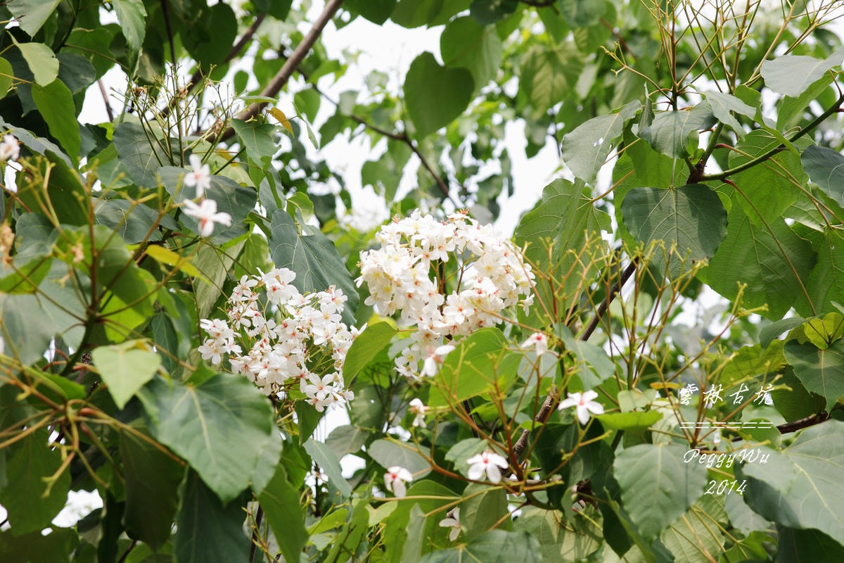 20251013-2vp4y 20251013-2vp4y