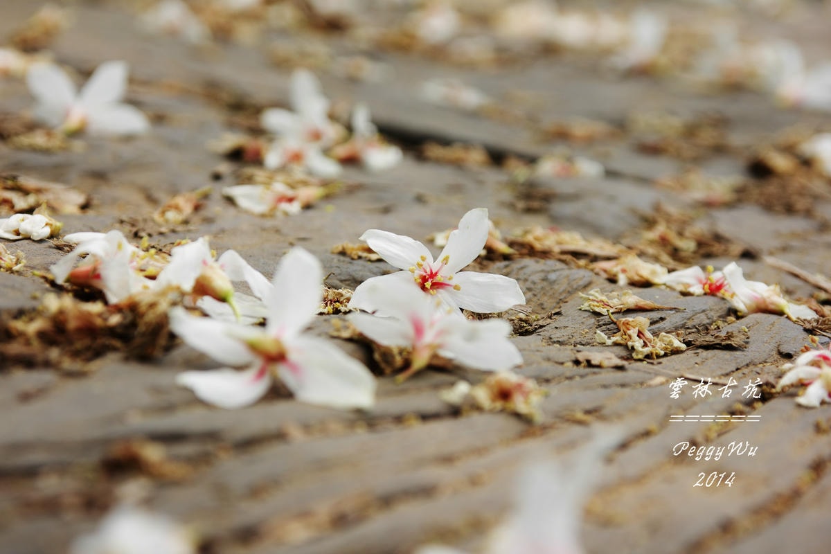 20251013-3zdoq 20251013-3zdoq