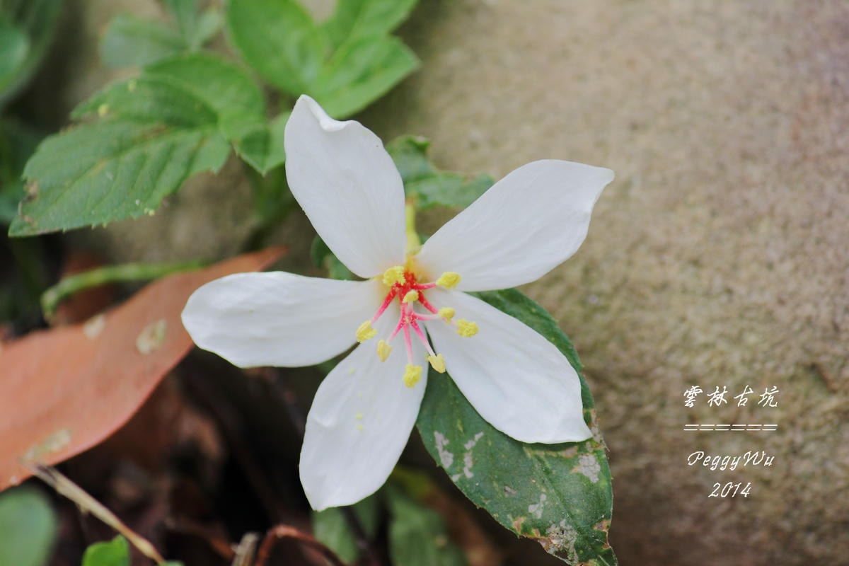 20251013-4x5tg 20251013-4x5tg