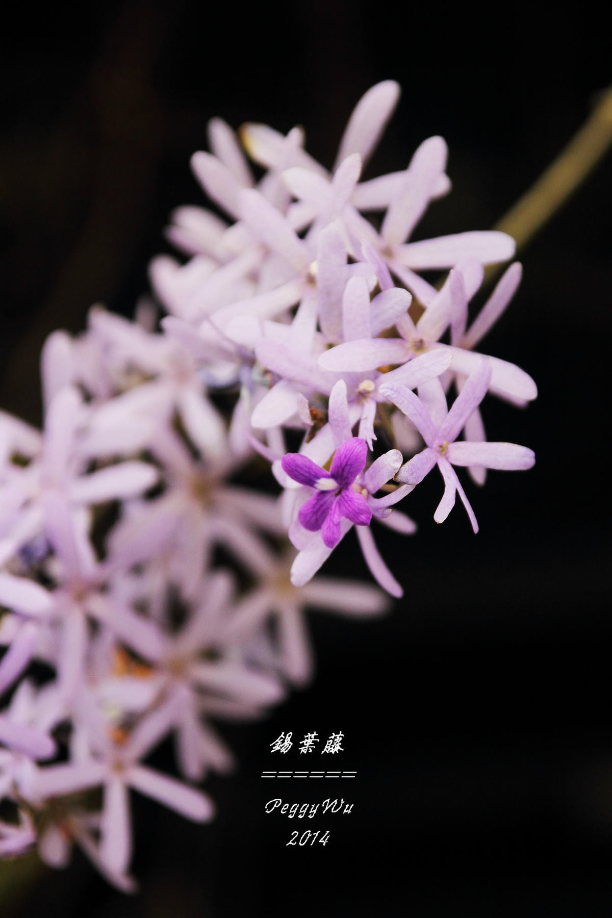 20251013-4ygga 20251013-4ygga