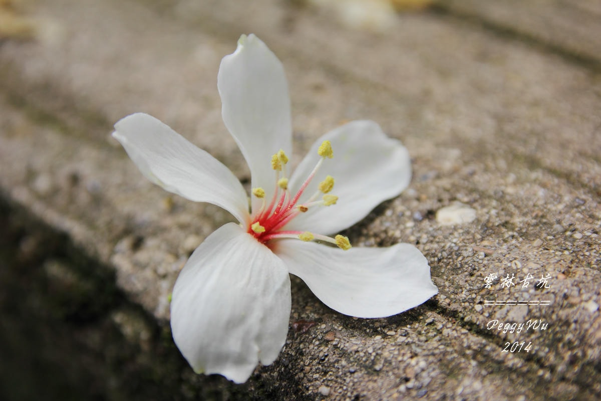 20251013-5i3qo 20251013-5i3qo