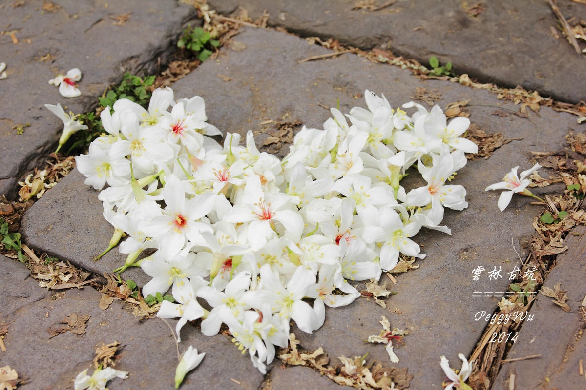 20251013-6wd2t 20251013-6wd2t