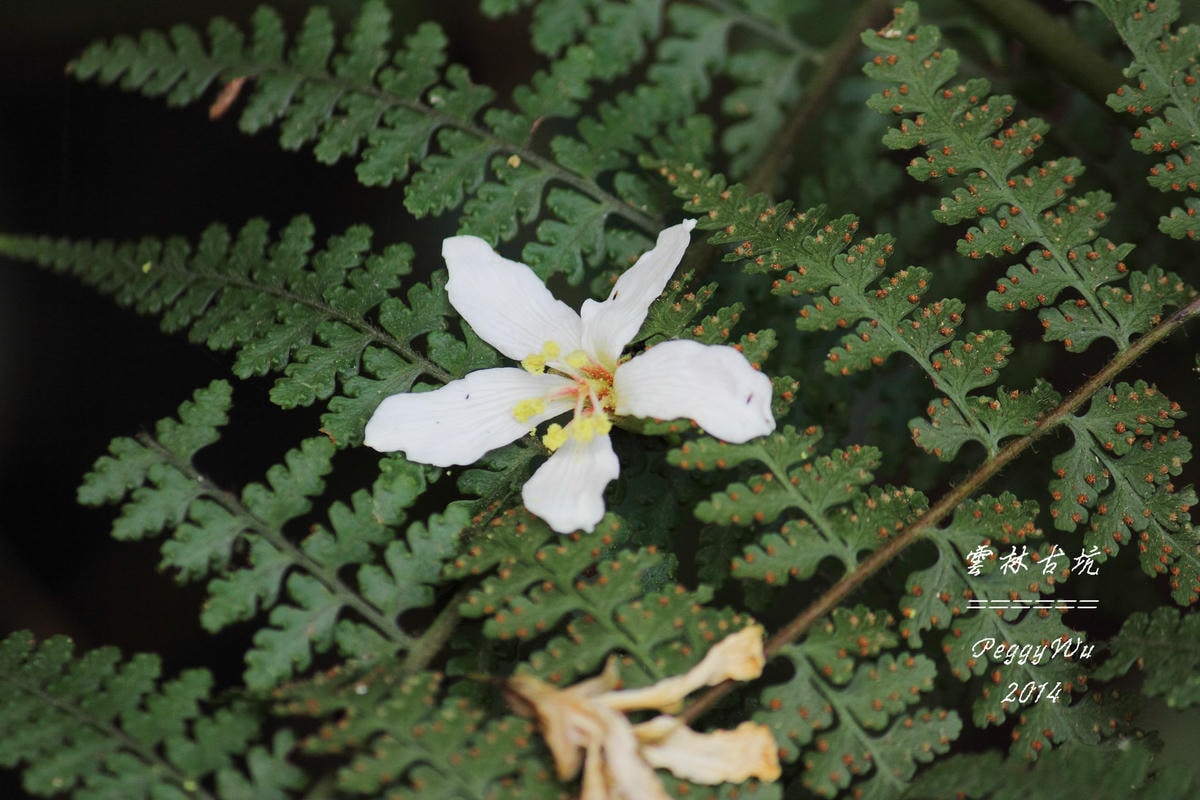 20251013-6xb4s 20251013-6xb4s