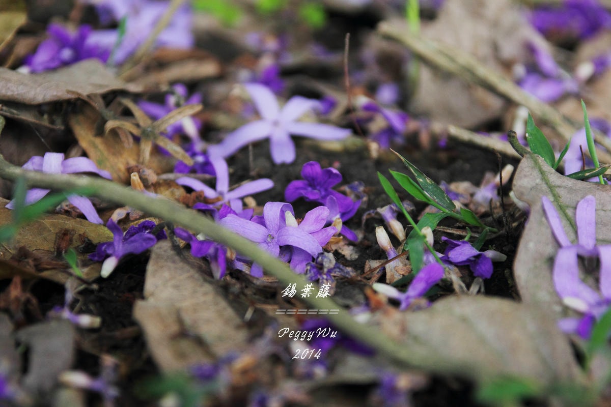 20251013-7hj9v 20251013-7hj9v