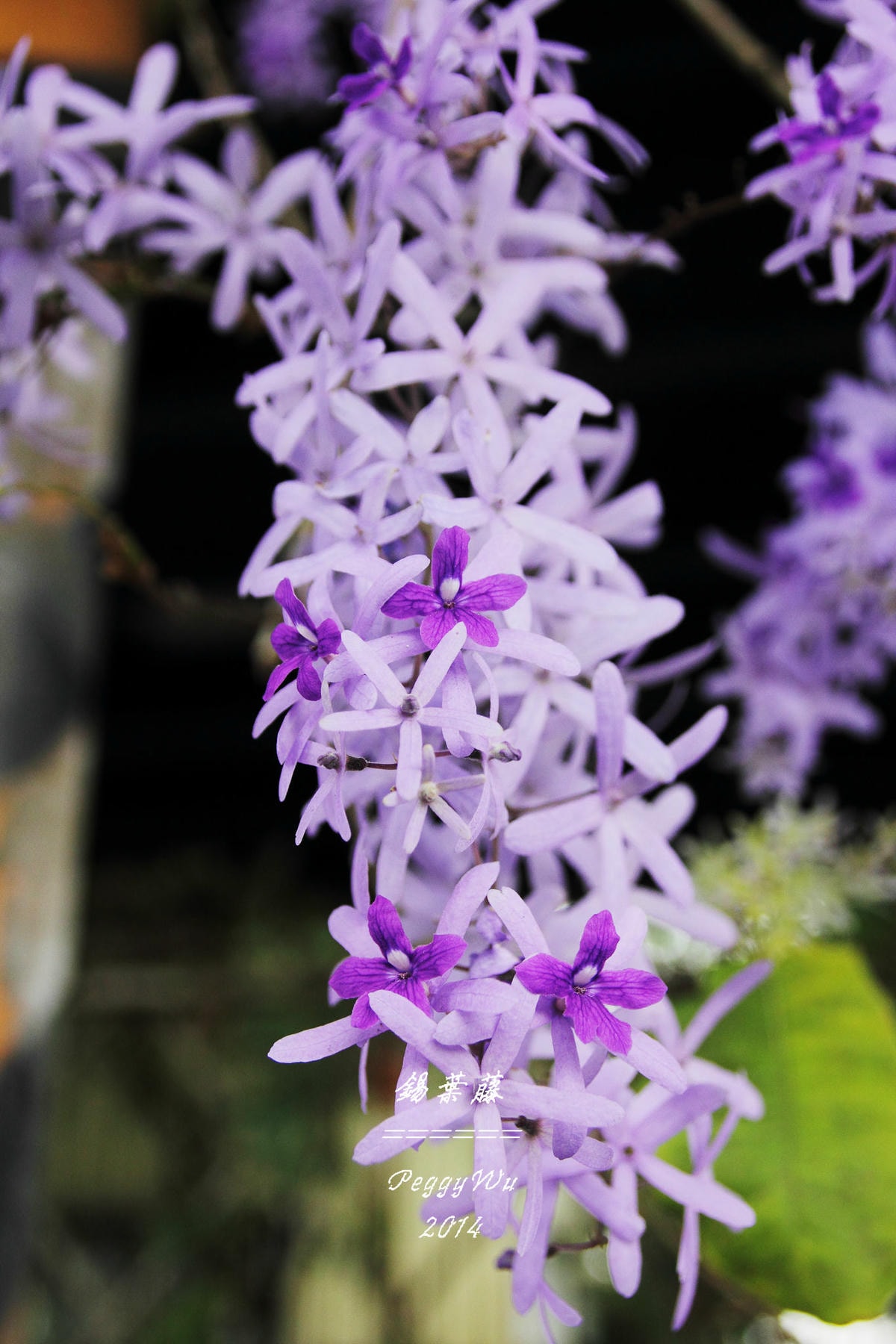 20251013-943hc 20251013-943hc