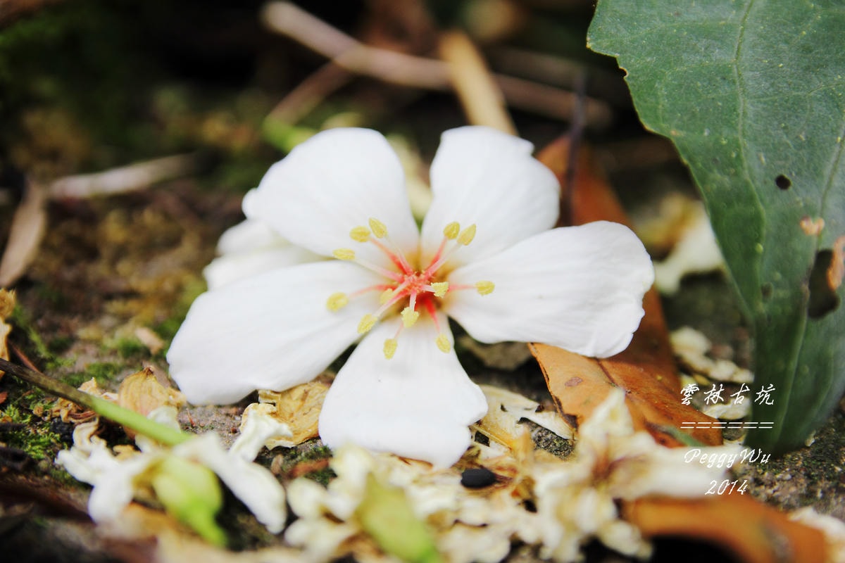 20251013-a5qsj 20251013-a5qsj